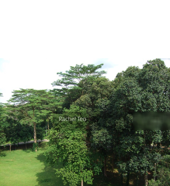 Blk 269 Bukit Batok East Avenue 4 (Bukit Batok), HDB 3 Rooms #154040592